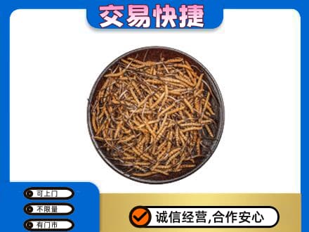 赣州市南康回收散虫草